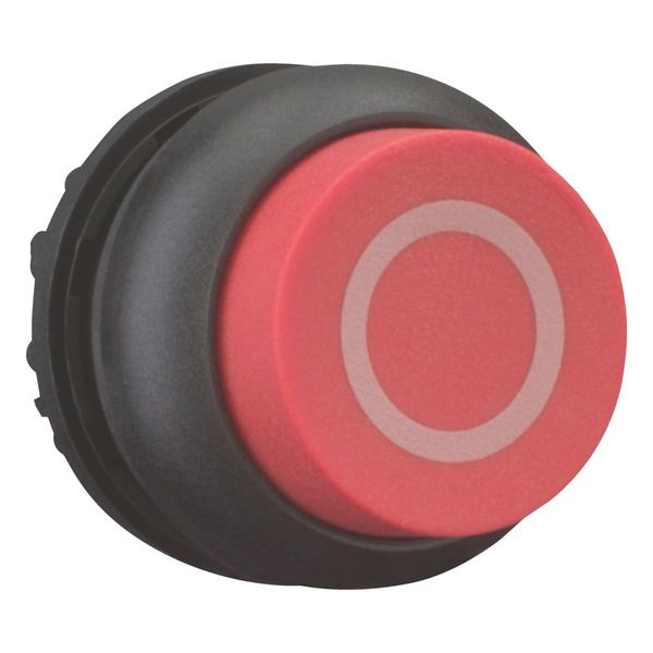 M22S-DH-R-X0 Pushbutton, RMQ-Titan, Extended, momentary, red, inscribed, Bezel: black image 5