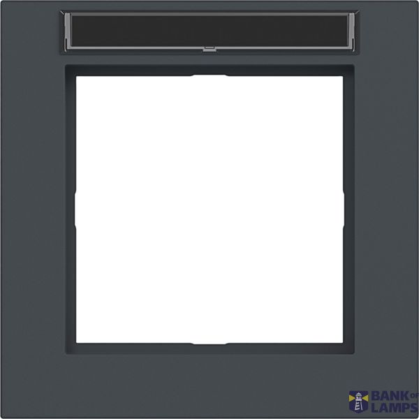 Cover frame single, text field, A.1, anthracite, matte image 1