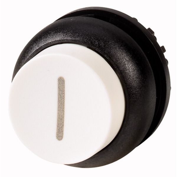 M22S-DH-W-X1 Pushbutton, RMQ-Titan, Extended, momentary, White, inscribed, Bezel: black image 1