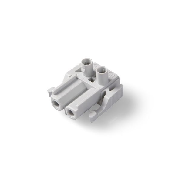 Coupler 2-p socket, grey image 2