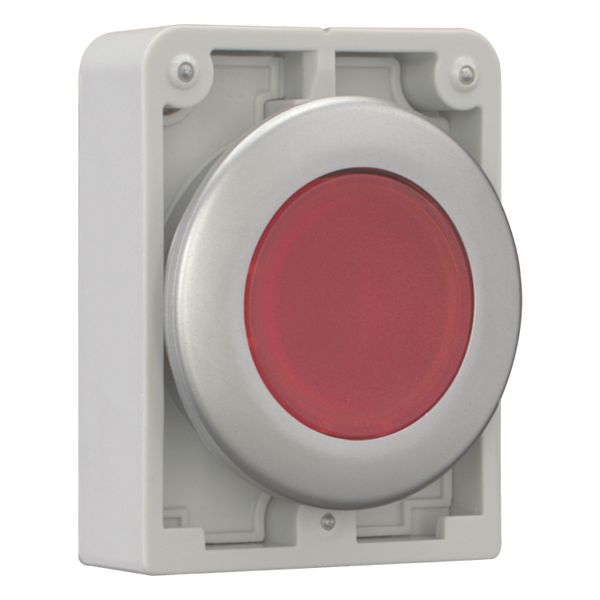 M30C-FDRL-R Illuminated pushbutton actuator, RMQ-Titan, Flat, maintained, red, Blank, Metal bezel image 14