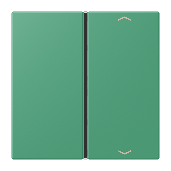 Cover 1-gang with symbols LC4320G LC401TSAP250 image 1