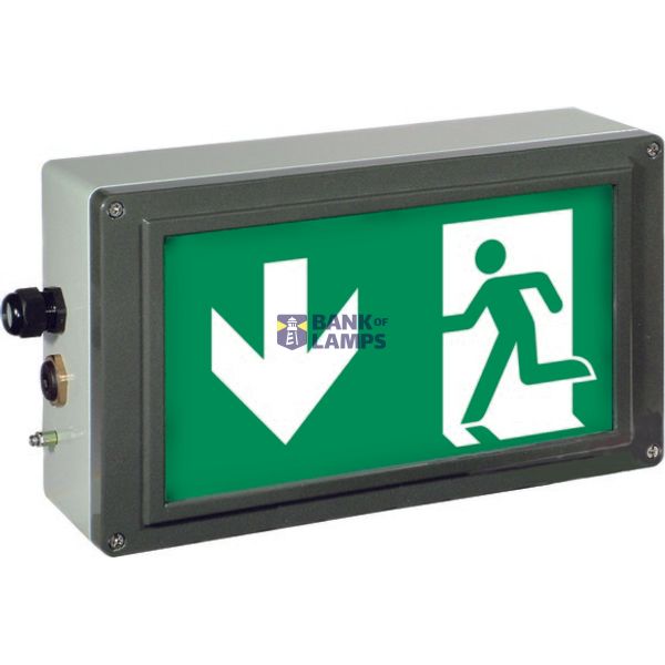 Ex-escape sign luminaires EX-LITE LT for zone 1/21, Pictogram: DIN ISO 7010, Arrow: 6 Clock image 3