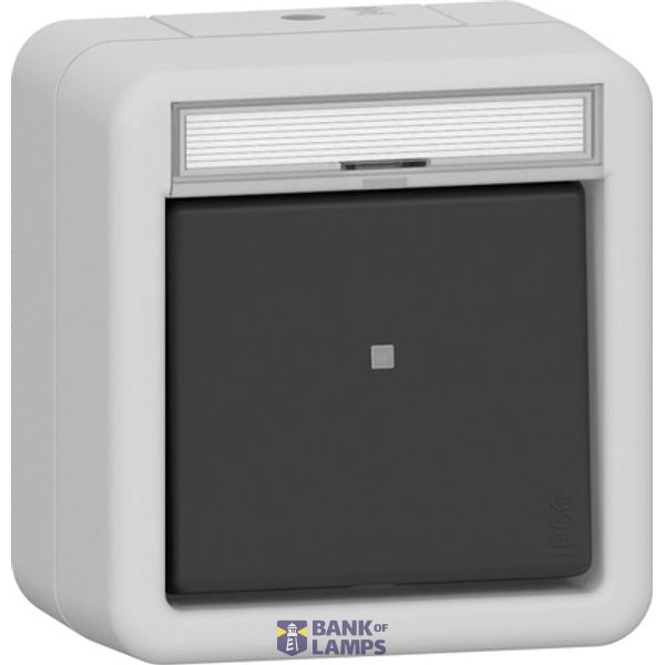 rocker sw. off/2-way in.sp. WD surface-mounted grey image 1
