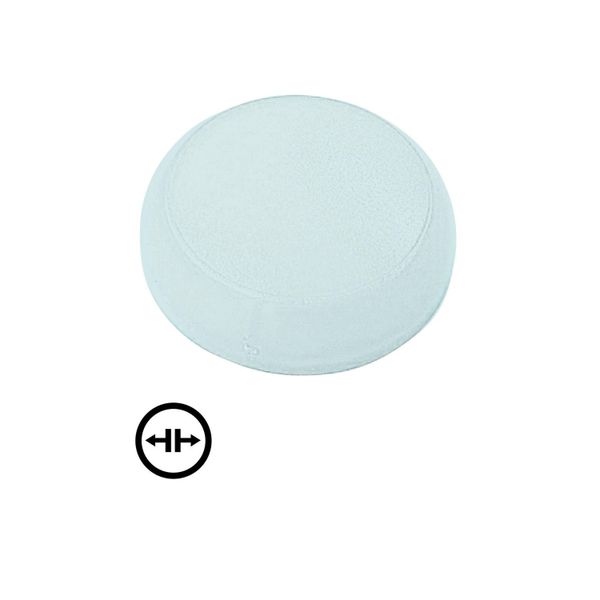M22-XL-W-X13 Lens, indicator light white, flush, symbol solve image 4