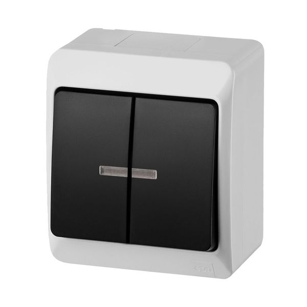 GALATEA Serial illuminated switch No. 5So 10A 230V on plaster IP44 white/black image 2