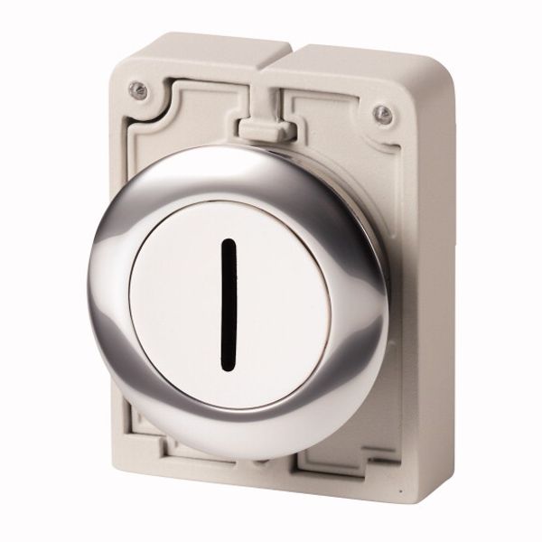 M30C-FD-W-X1 Pushbutton, RMQ-Titan, Flat, momentary, White, inscribed, Metal bezel image 1