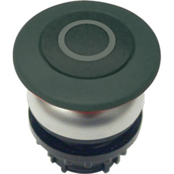 M22-DP-S-X0 Mushroom actuator, RMQ-Titan, Mushroom, momentary, Mushroom black, black, inscribed, Bezel: titanium image 1