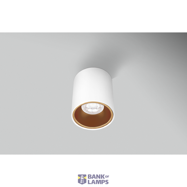 PLAFONIERA LED ESSENZA ROUND BIANCA/GOL image 1