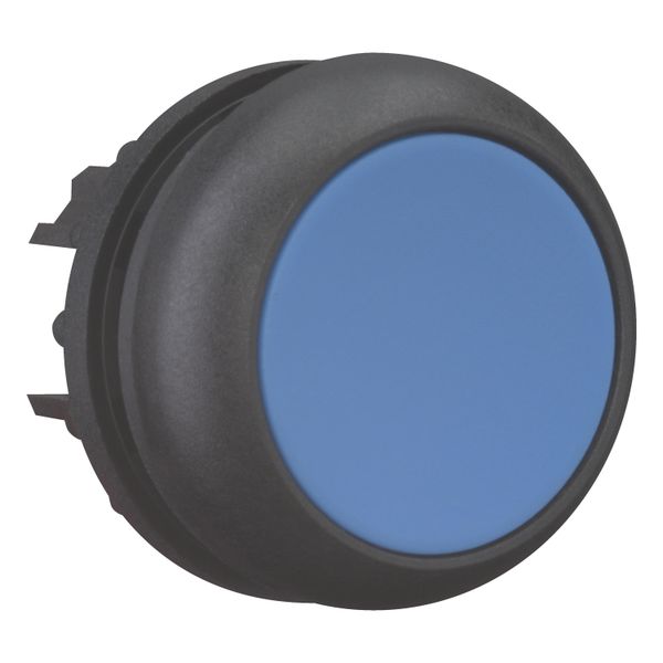 M22S-D-B Pushbutton, RMQ-Titan, Flat, momentary, Blue, Blank, Bezel: black image 7