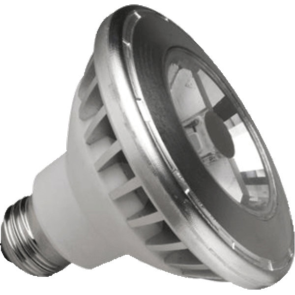 Bulb LED E27 12W 2800K 600lm PAR30S MM03062 MEGAMAN image 1