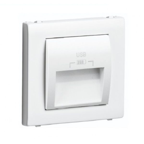 C PLATE DOUB USB CHARG TYPE A 20° OUTPUT MW image 1