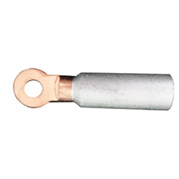 Fichero: terminalBimetalico_copia.jpg image 1