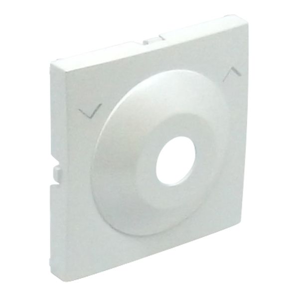 C.PLAT F/KEY LOCK PUSH-BUT/TWO-WAY SWITCH ICE image 1