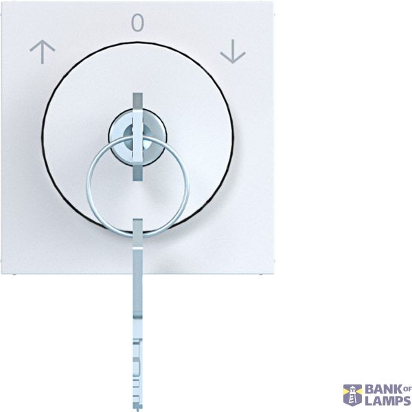 Centr.pl. key switch, lock, removable key A.x/C.x white gl. image 1