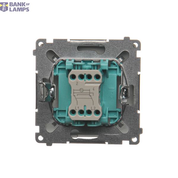 Single switch with backlight LED, (module), 10AX, quick connection, Silver matt, metalic image 1
