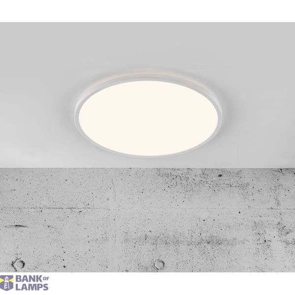 Oja 42 IP54 4000K Dim | Ceiling light | White image 3