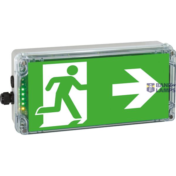 EX-protected emerg.luminaire EXIT 2 N zone2/22 LED3h 230V AC image 1