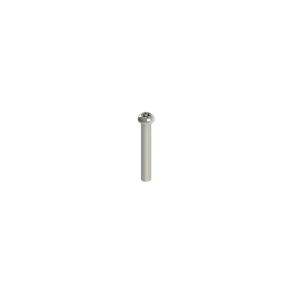 Stainless steel security screws image 1
