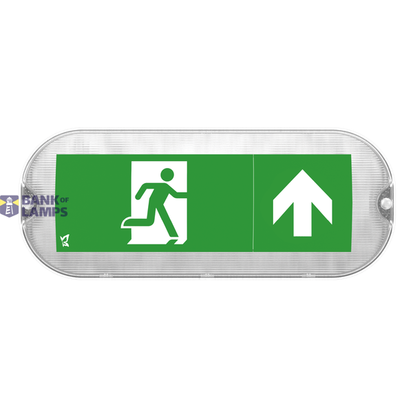 Mulu Mini Manual IP65 EME Exit Bulkhead 1W/4W image 1