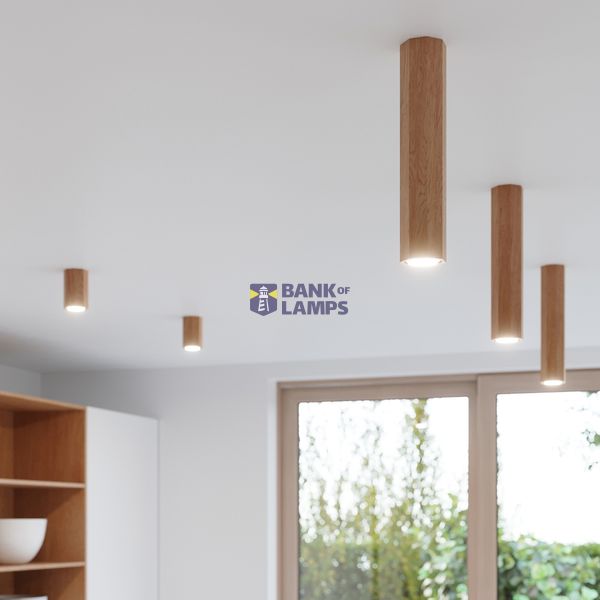 WALL LAMP ZEKE OAK GU10 1X40W IP20 image 5