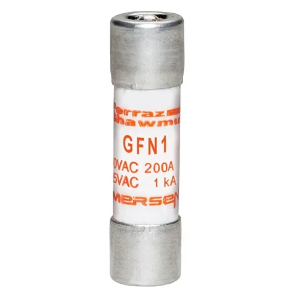 Fuse GFN - Midget - Time-Delay 250VAC 1A Ferrule Visual Indicator image 1