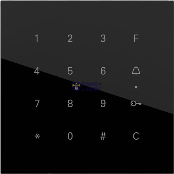 Gira Keyless In keypad mod. System 106 black gl. image 1
