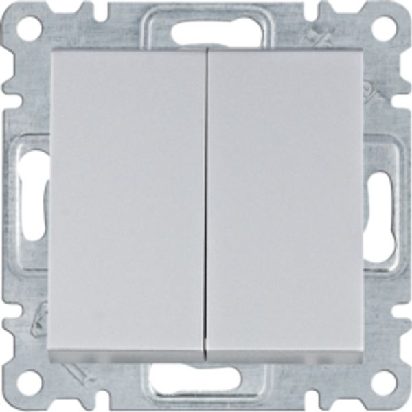 Double Switch - Silver Ss/Screw image 1