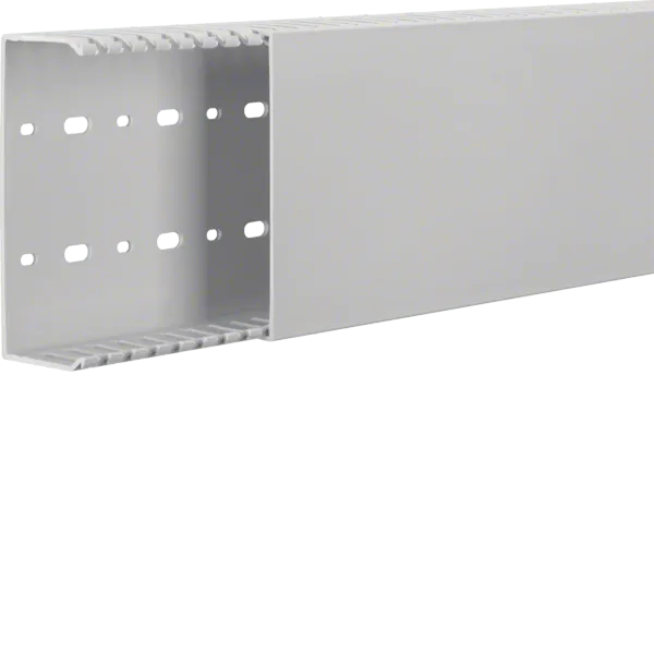 Wiring duct halogen-free V0-PC/ABS HNG 50x125mm light grey image 1