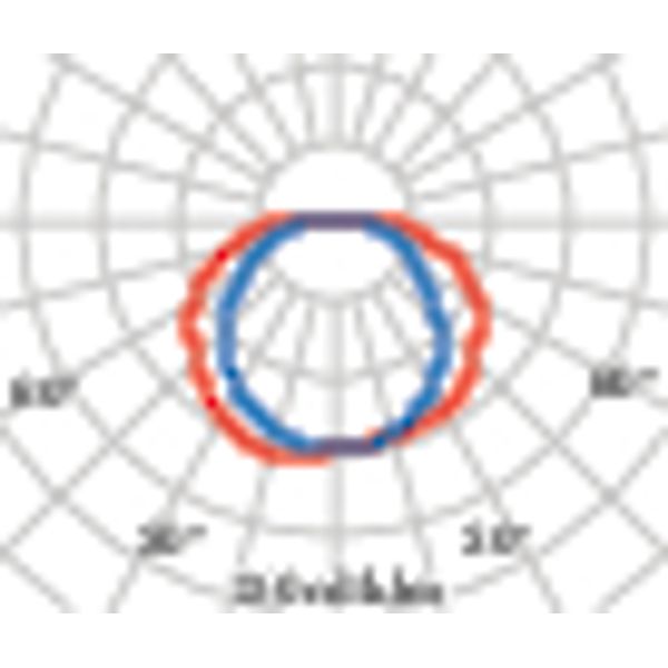 CHIP OVAL 25 BLACK E27 image 6