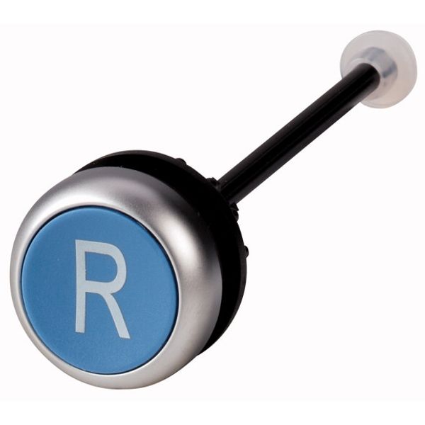 M22-DZ-B-X6 Release pushbutton, blue, R image 1
