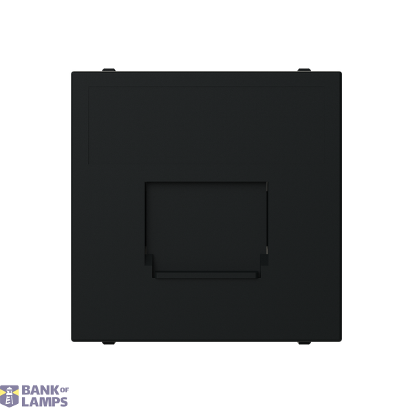 N2216.3 NT - Cover with Data Socket Cover image 1