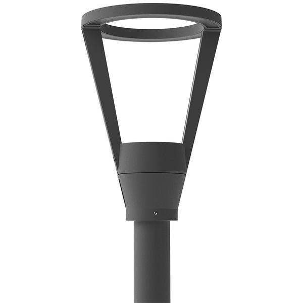 HEDO+40 C/EW 830 ANTHRACITE image 2