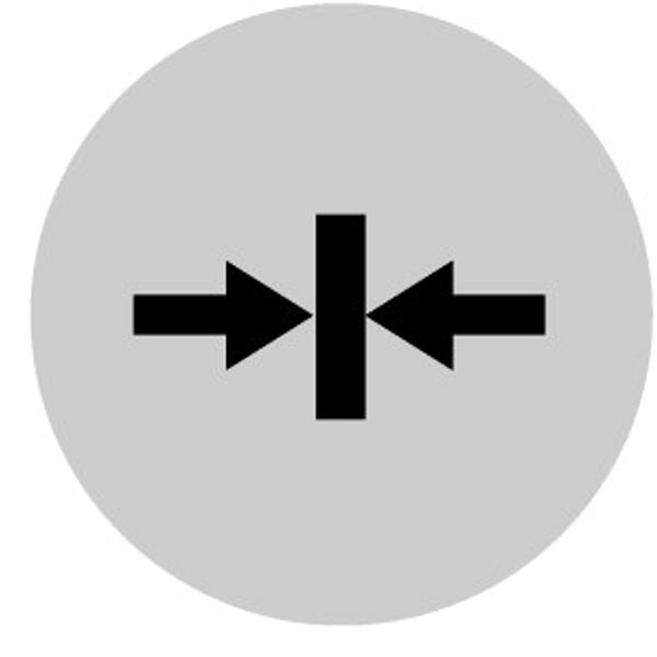 M22-XDLH-W-X14 Button lens, raised white, clamp symbol image 2