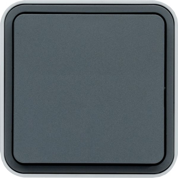 CUBYKO WALL-MOUNTED BUTTON IP55 GRAY image 1