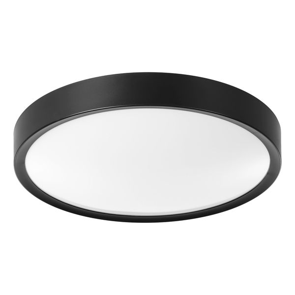 MUSURITA ceiling light 98604 image 1