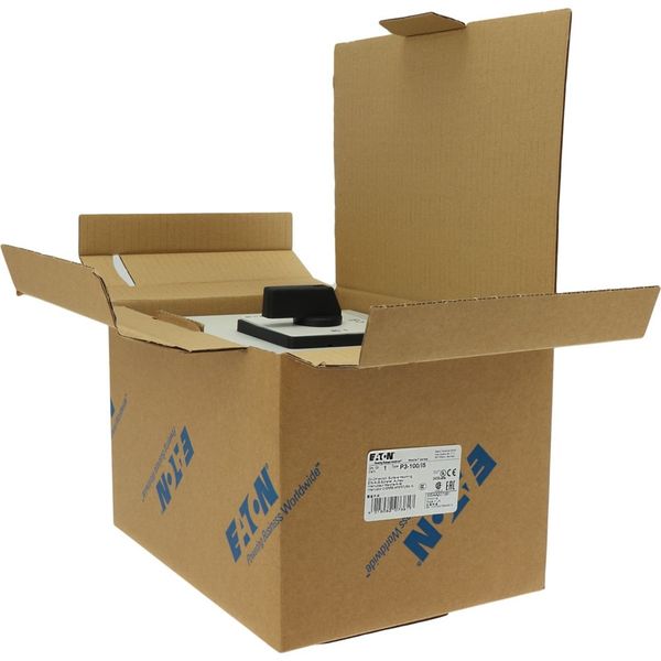 P3-100/I5 On-Off switch, P3, 100 A, surface mounting, 3 pole, with black thumb grip and front plate image 41