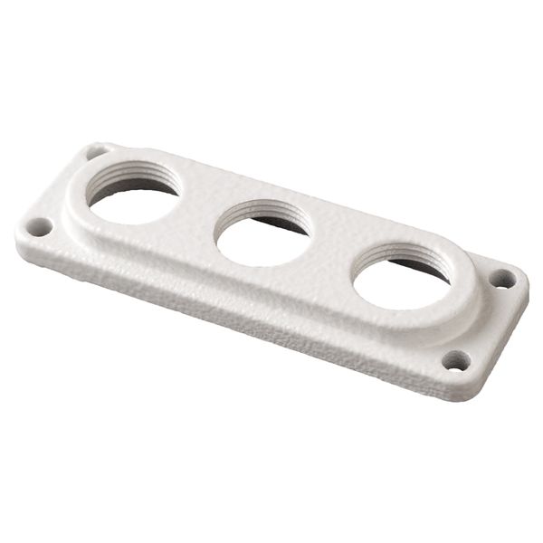 Inlet flange F1 size image 1