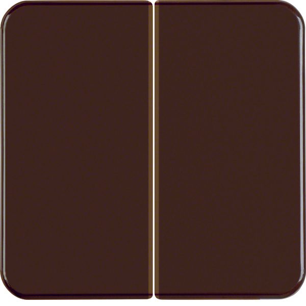 Rocker 2gang, splash-proteced flush-mtd IP44, brown glossy image 1