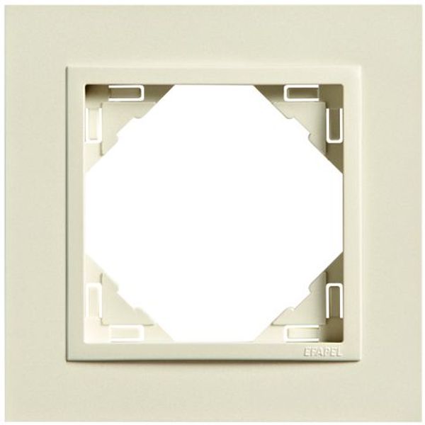 SINGLE FRAME PEARL/PEARL image 1