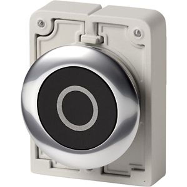 M30C-FD-S-X0 Pushbutton, RMQ-Titan, Flat, momentary, black, inscribed, Metal bezel image 2