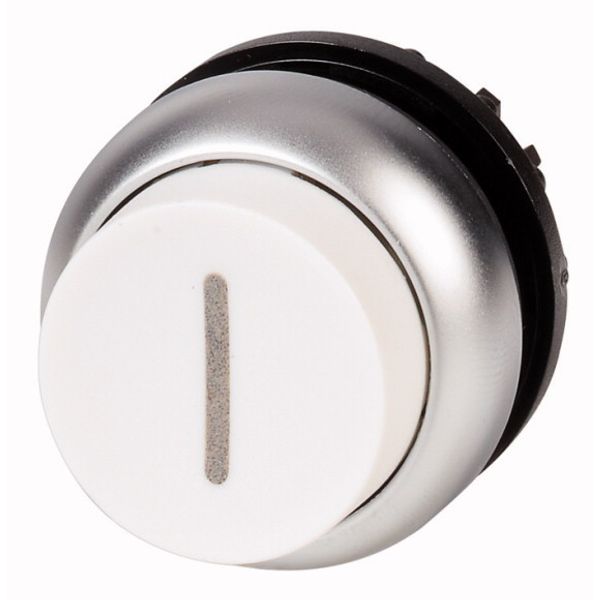 M22-DRH-W-X1 Pushbutton, RMQ-Titan, Extended, maintained, White, inscribed, Bezel: titanium image 1