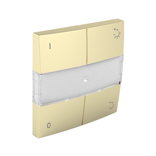 COV PLAT F/DIMMER TWO-WAY SWITCH GOLDEN image 1