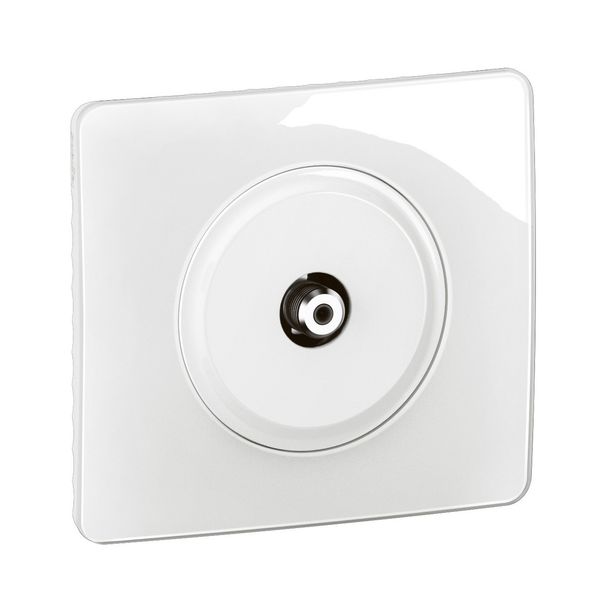 F TYPE SOCKET OUTLET image 3