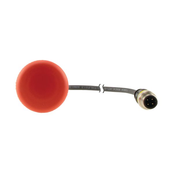 C22-PV-K02-P1 Emergency stop/emergency switching off button, classic, mushroom, 38mm, pull release, 2 N/C, cable (black) with m12a plug, 4p, 0.2m image 8