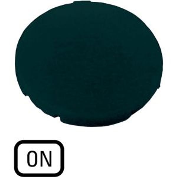 M22-XD-S-GB6 Button plate, flat black, ON image 4