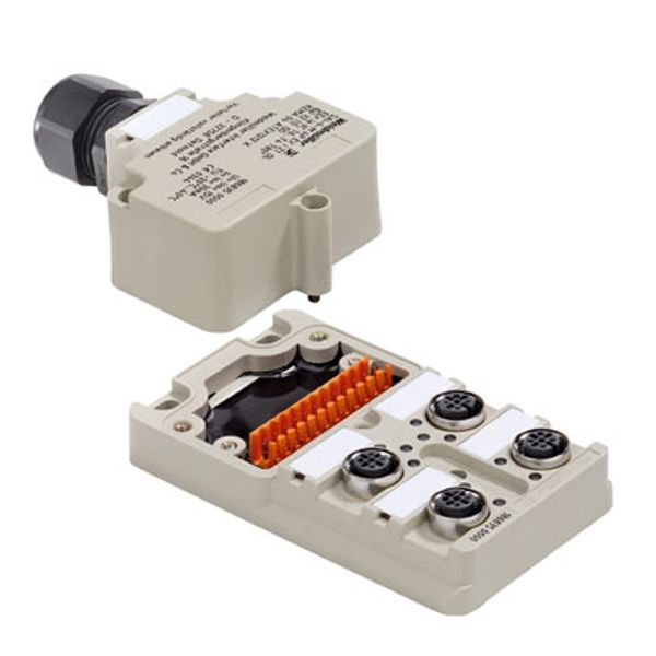 Hood version Ex, M12, 30 V, A-coded, LED: No, LED initiator: No, Wiring type: 2-wire image 1