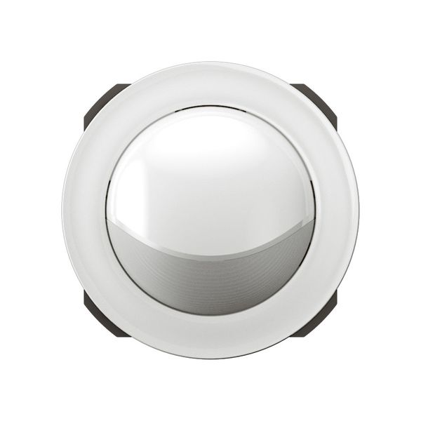 LED ORIENTABLE SPOT 230V 2,8W 80LM image 4