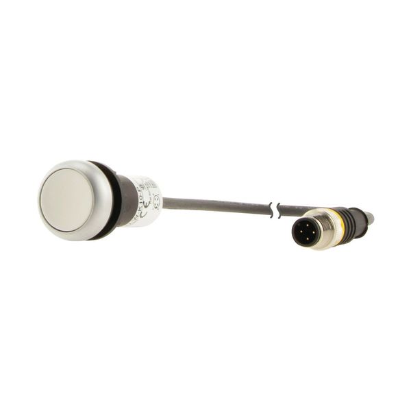 C22-D-W-K10-P3 Pushbutton, Flat, momentary, 1 N/O, Cable (black) with M12A plug, 4 pole, 0.5 m, White, Blank, Bezel: titanium image 15
