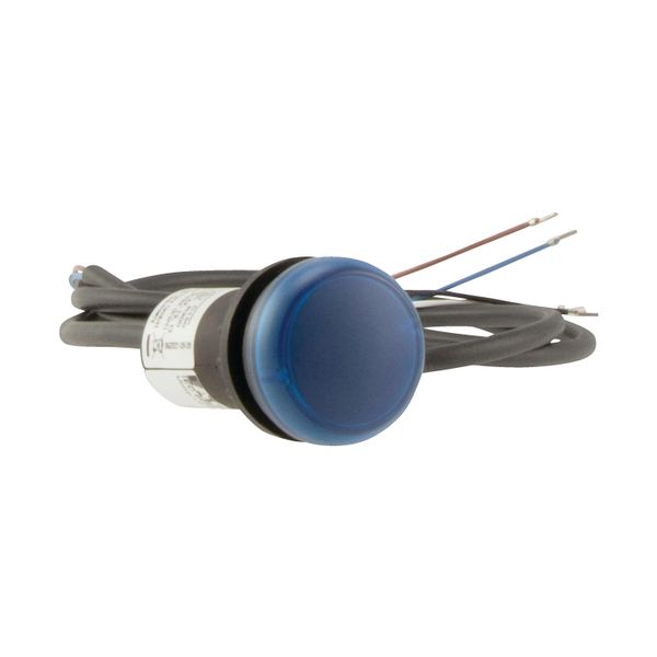 C22-L-B-24-P65 Indicator light, Flat, Cable (black) with non-terminated end, 4 pole, 3.5 m, Lens Blue, LED Blue, 24 V AC/DC image 17